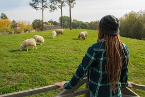 jonge vrouw kijkt op de schapen die op het groene gras op de boerderij lopen foto