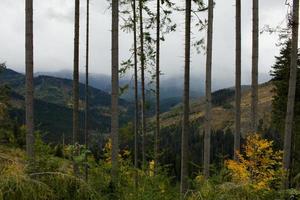 landschap met herfstbergen en bos foto