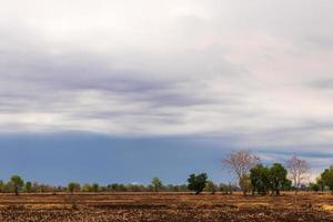 bewolkt uitzicht over dorre rijstvelden. foto