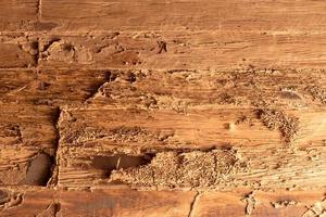 oude houten muren die waren gebeten door termieten. foto
