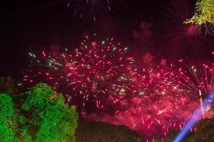 mooie vuurwerklichten boven de bomen 's nachts. foto