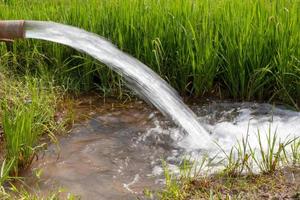 het water stroomt uit de leidingen de groene rijstvelden in. foto