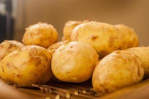 aardappelen