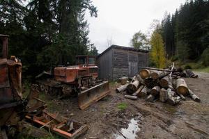 bomen kappen in het bos van charpatians, omgehakte dennen in de bergen, vernietigd bos, natuurramp, ecologische problemen foto