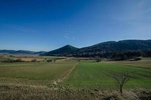 groen weids landschap foto