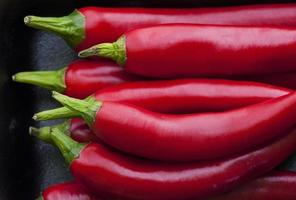 chili peper rood