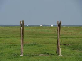 hallig hooge in de Duitse Noordzee foto