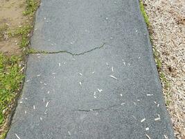zwart asfaltpad of pad met scheuren en gras foto