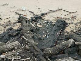 hout en puin op strand met zand foto