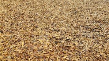 bruine vochtige houtsnippers of mulch op de grond foto