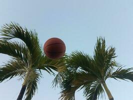 basketbal in de lucht met palmbomen foto