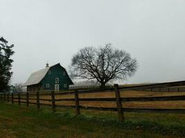schuur op boerderij met grote boom, hek en gras foto