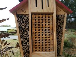 houten bijenhuis of bijenkorf met kleine gaatjes foto