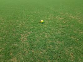 kleurrijke voetbal op gras op een veld foto