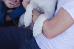 jong stel met beagle hond, gelukkige familie veel plezier in de achtertuin foto