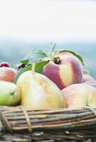 Italië, close-up van perzik peren en kersen in de mand