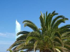 tenerife eiland in spanje foto