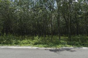 horizontale weergave van asfaltweg in thailand. voorgrond van groen gras. landbouwgebied van rubberbomen. onder de blauwe lucht. foto