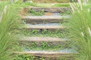 houten treden die in de grond zijn begraven, gaan naar een hogere plaats. frisgroen gras siert de linker- en rechterkant van het tuinpad. foto