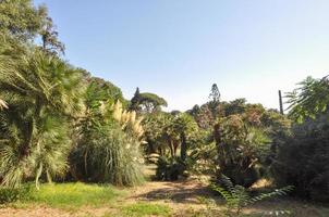 engelse tuin bij het koninklijk paleis aka reggia in caserta foto