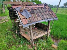 een klein gebouw in de rijst, een plek voor boerenrust in Indonesië foto