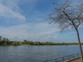 de rivier de Rijn en de stad Rees foto
