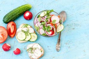 lente salade met radijs, komkommer, kool en ui close-up