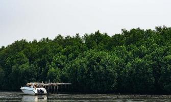 groen mangrovebos en witte boot aan de kust met heldere witte lucht. foto