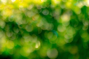wazig vers groen grasveld in de vroege ochtend. groen gras met bokeh achtergrond in het voorjaar. natuur achtergrond. schone omgeving. groene bokeh abstracte achtergrond met zonlicht. foto