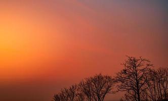 mooie silhouet bladloze boom en avondrood. romantische en vredige scène van zon en rode lucht bij zonsondergang met schoonheidspatroon van takken. herfstseizoen met rustige natuur. schoonheid in de natuur. foto