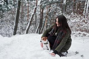 hand en sjaal aanraken van de sneeuw. lachende brunette die plezier heeft tijdens het wandelen met haar hond in het winterpark foto