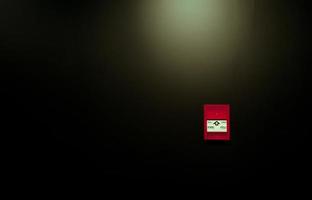 rode brandalarm pull station op zwarte muur achtergrond. brandalarm schakelaar. noodbeveiligingssysteem. brandalarm op donkere betonnen muur. waarschuwings- en beveiligingssysteem. rode doos voor veiligheidswaarschuwing op de muur. foto