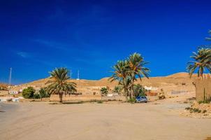 palmen in de Saharawoestijn, Tunesië, Noord-Afrika foto