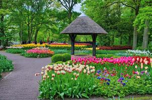 bron met kleurrijke tulpen in keukenhof park, lisse in holland foto