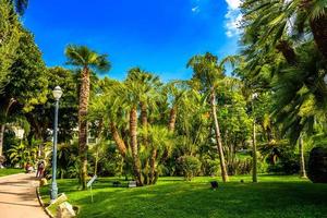palmen in het park van la condamine, monte-carlo, monaco, cote d'azur, franse riviera foto