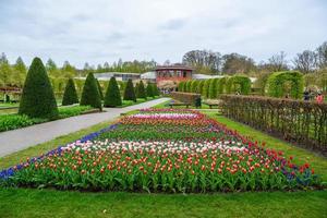 bloeiende tulpen in keukenhof park, lisse, holland, nederland foto