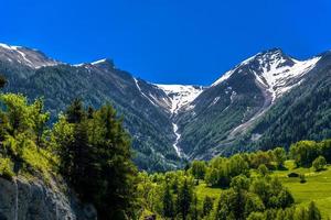 zwitserse alpen bergen met bomen, moerel, filet, oestlich raron, wallis valais zwitserland foto