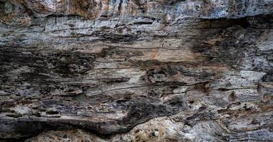 close-uptextuur van rotte oude boom. detail van oude houtstructuur achtergrond. ruw oppervlak van dode boomstronk. verweerd natuurlijk houtmateriaal voor huismeubilair. vuilhuid van hout. raar logje. foto