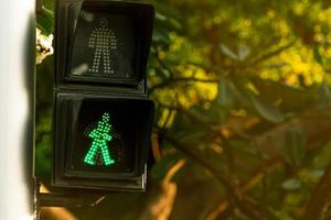 voetgangerssignalen op verkeerslichtpaal. voetgangersoversteekplaatsteken voor veilig om in de stad te lopen. zebrapad signaal. groen verkeerslichtsignaal op onscherpe achtergrond van plumeriaboom. foto