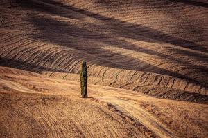 toscane velden herfst landschap, italië. oogstseizoen foto