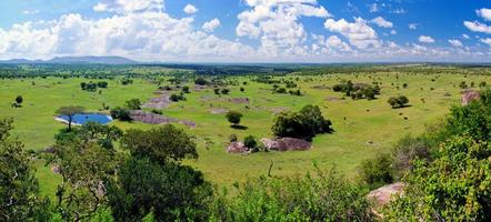 savannelandschap in serengeti, tanzania, afrika foto