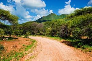 rode grond weg en savanne. tsavo west, kenia, afrika foto