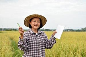 portret van aziatische bejaarde vrouw die pen en notitieboekje naast haar rijstveld houdt, concept voor het gelukkige leven van aziatische boer in het dagelijks leven. foto
