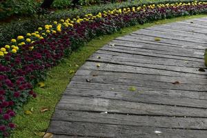 loopbrug met pompon bloembed ernaast in het openbare park in thailand. foto