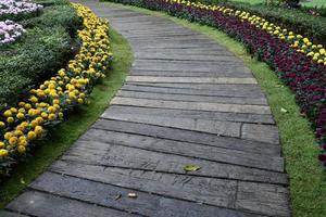 loopbrug met pompon bloembed ernaast in het openbare park in thailand. foto