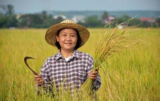 portret van een oudere aziatische boer die gelukkig een boeket van rijstoor vasthoudt en sikkel oogst in de buurt van haar rijstveld. gelukkig leven concept foto