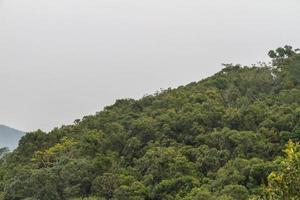 chinese jungle, eiland hainan foto