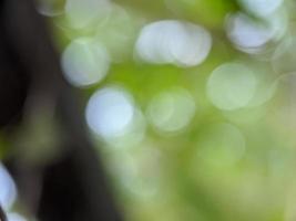 foto of afbeelding vervagen, bokeh, frisse achtergrond, cool