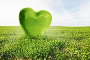 groen hart op het grasveld. liefde, gezonde omgeving, natuur foto