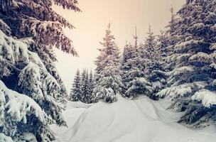 prachtig winterlandschap foto